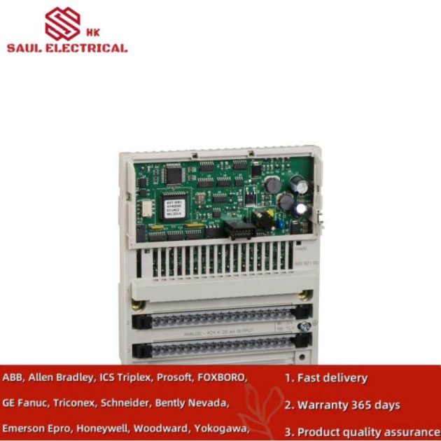 Schneider Electric 170AAO92100 Analog Output Module